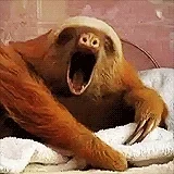 Sleep Yawn GIF