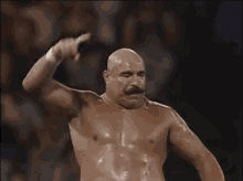 iron-sheik-spit