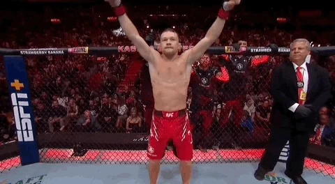 Mixed Martial Arts Sport GIF by UFC