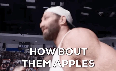 Mixed Martial Arts Sport GIF by UFC