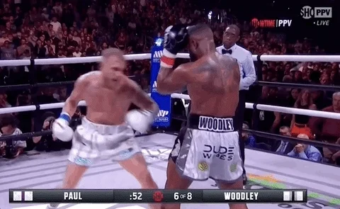 Sport Boxing GIF by SHOWTIME Sports