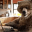 TheBearStare